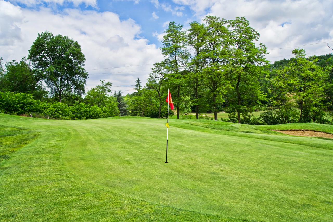 Il curato campo di Colline del Gavi